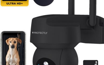 Bekijk je hond(en) ook buiten met de Protectly 2K outdoor security camera